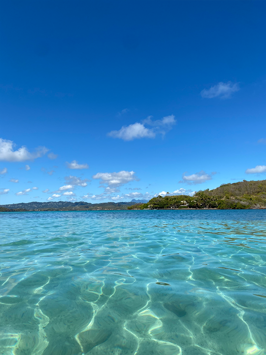 Excursion en bateau à Martinique